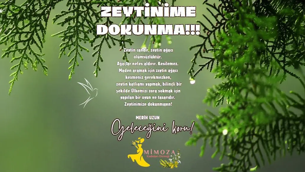 ZEYTİNİME DOKUNMA!